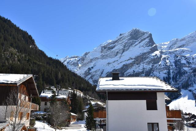 Appartements GRAND SUD - Pralognan la Vanoise