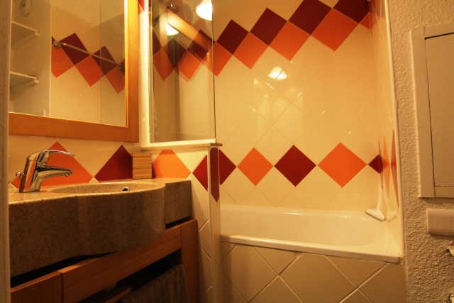 Mélèzes (les) 60155 - Alpe d'Huez