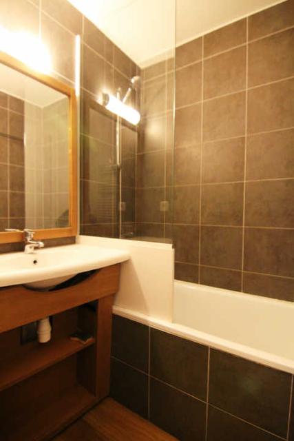 Ours blanc (l') 55122 - Alpe d'Huez