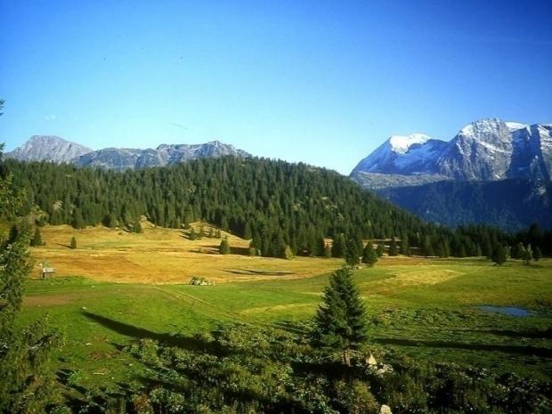 LES CYTISES - Chamrousse
