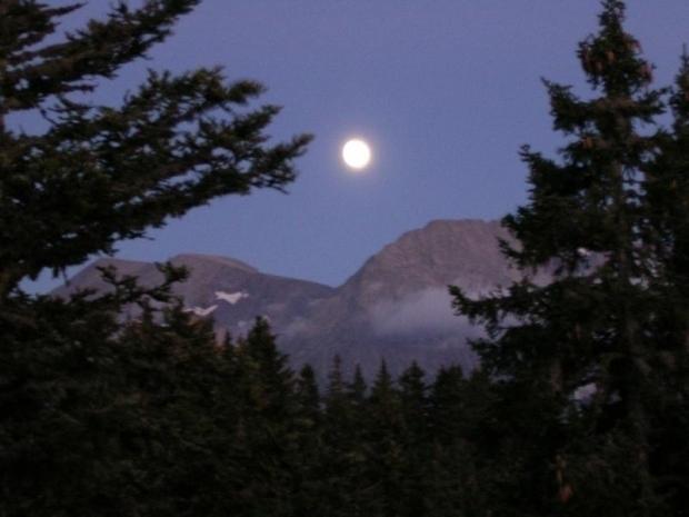 LES CYTISES - Chamrousse