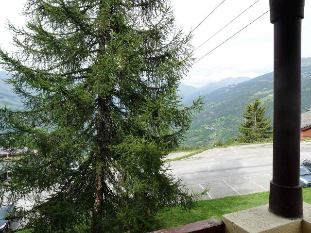 Ski & Soleil - Appartements Le Joker - Plagne - Les Coches