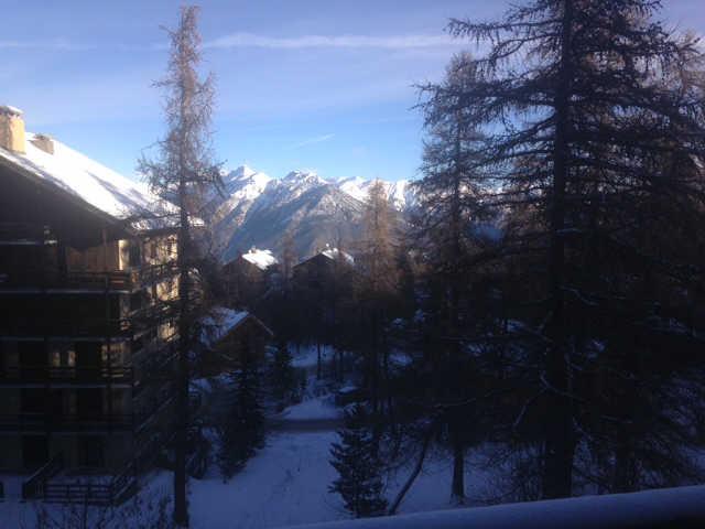 Orée du bois 60747 - Risoul 