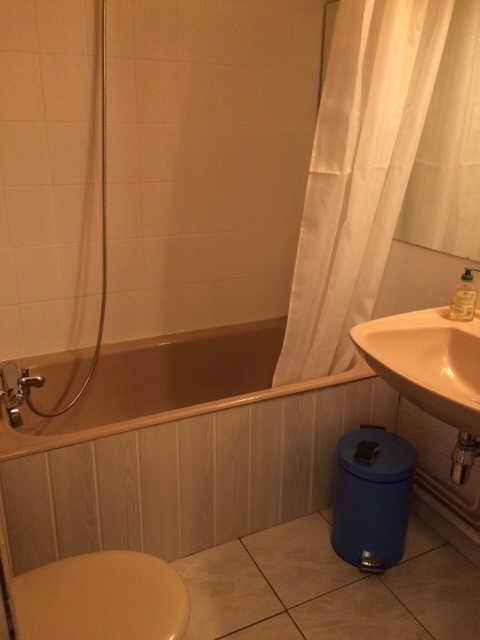 Orée du bois 60747 - Risoul 