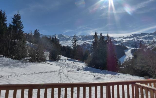 Appartements La Gelinotte - Méribel Centre 1600 