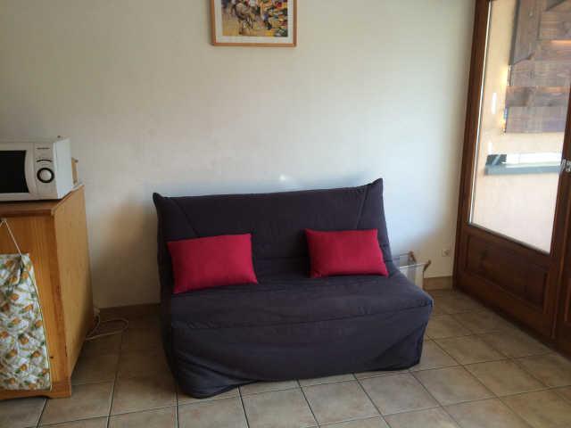 Bouquetins 60141 - Vars