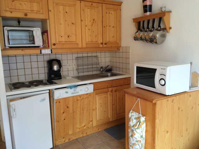 Bouquetins 60141 - Vars