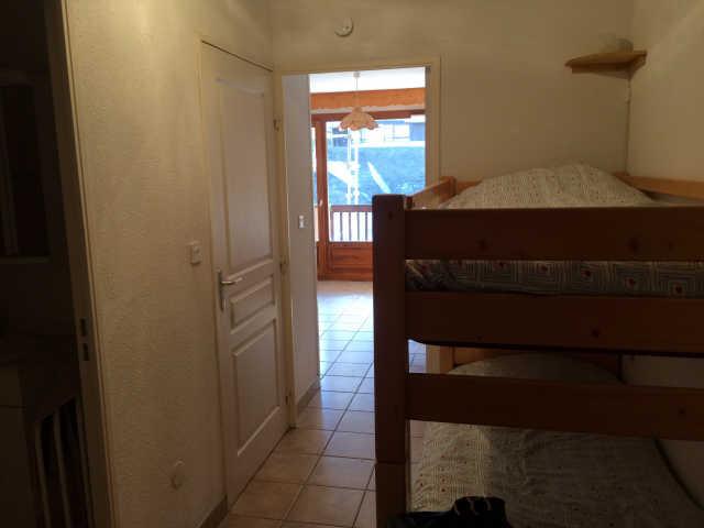 Bouquetins 60141 - Vars