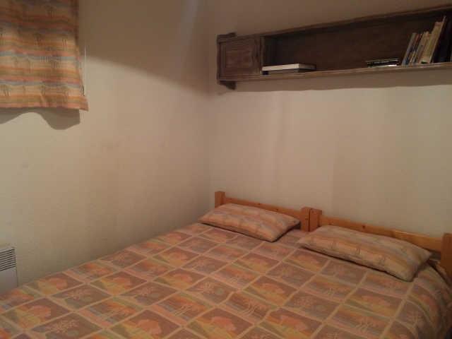 Bouquetins 60141 - Vars