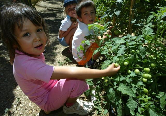 Club Vacances La Manne - Bormes les Mimosas