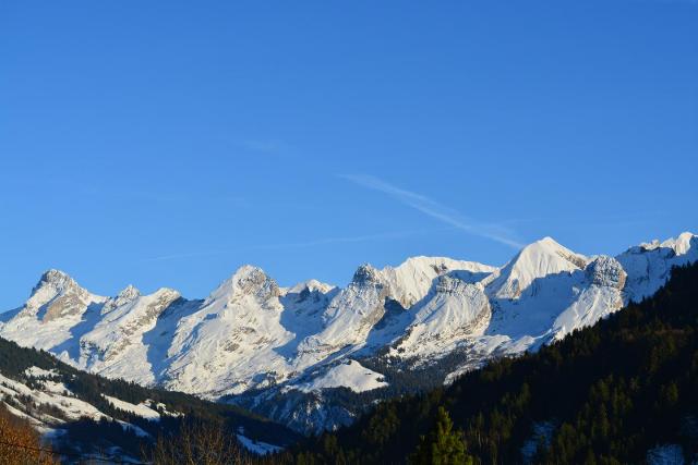 Résidence Flocons - Le Grand Bornand