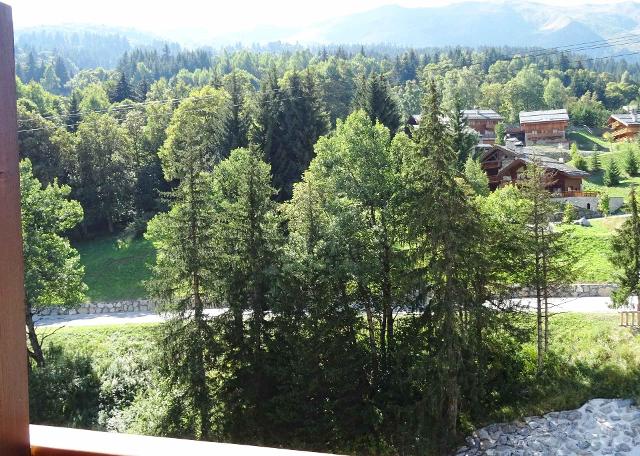 Appartements LE CHARDON BLEU - Méribel Centre 1600 