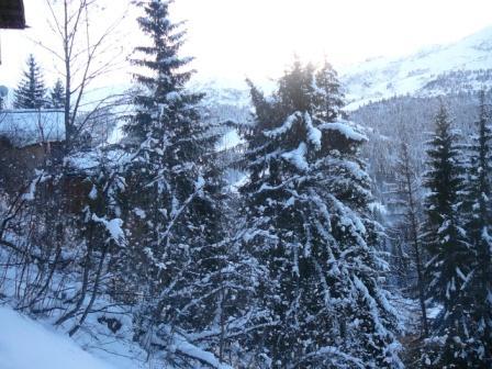 Appartements LES ARCOSSES - Méribel Centre 1600 