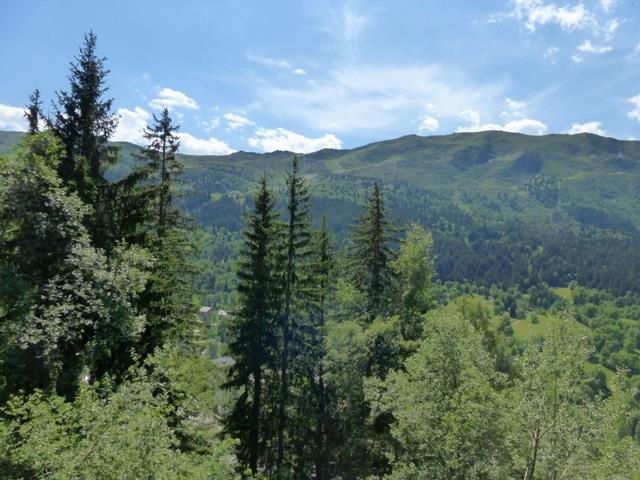 Appartements LES ARCOSSES - Méribel Centre 1600 