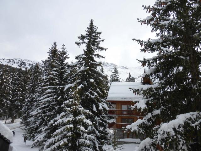 Appartements LES DAUPHINELLES - Méribel Altiport 1700