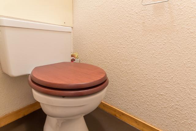 Appartements La Traverse - Plagne - Les Coches