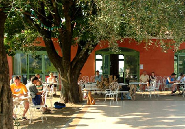 Le Domaine de l'Olivaie - Gilette