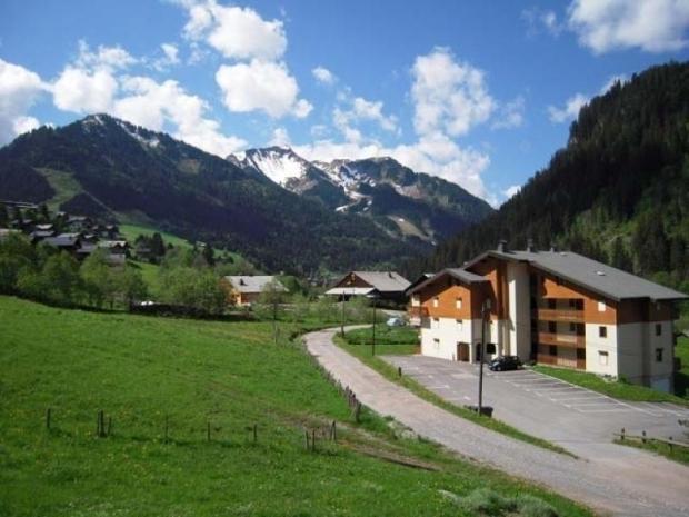 LES JONQUILLES - Châtel