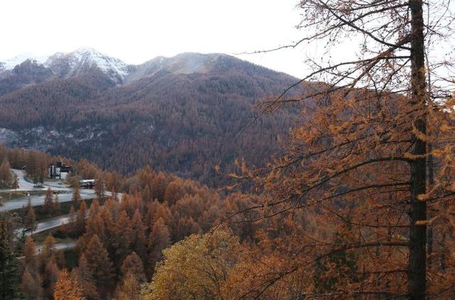 Appartement Le Belvedere 284 - Les Orres