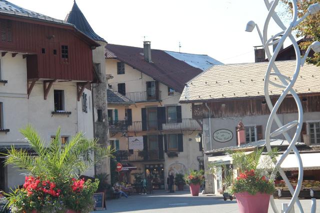 Maison Salina Nø3 MSA0102 - Samoëns