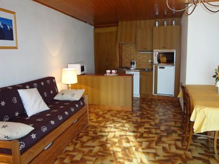 Maison Salina Nø7 MSA0106 - Samoëns