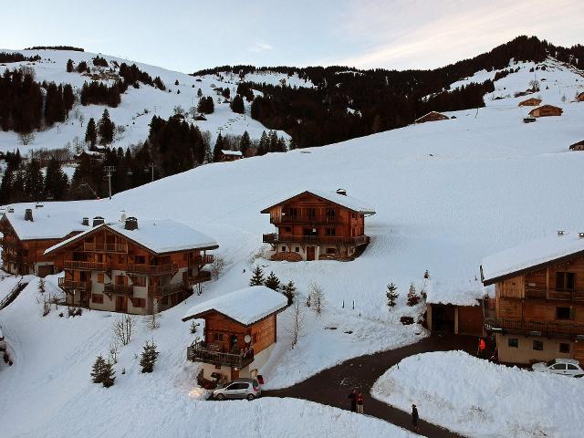 CHALET PIERRES DU CHOZAL - Hauteluce