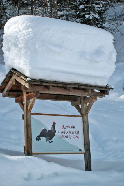 Chalet Chalet Les Bubus - La Tzoumaz