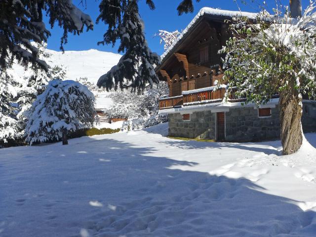 Chalet Petits Quinquins CH1935.11.1 - Bagnes - Verbier