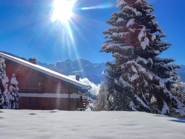 Appartement Rousserolles 1 - Bagnes - Verbier