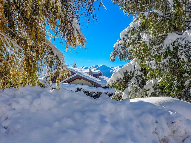 Appartement Le Loup Blanc - Bagnes - Verbier