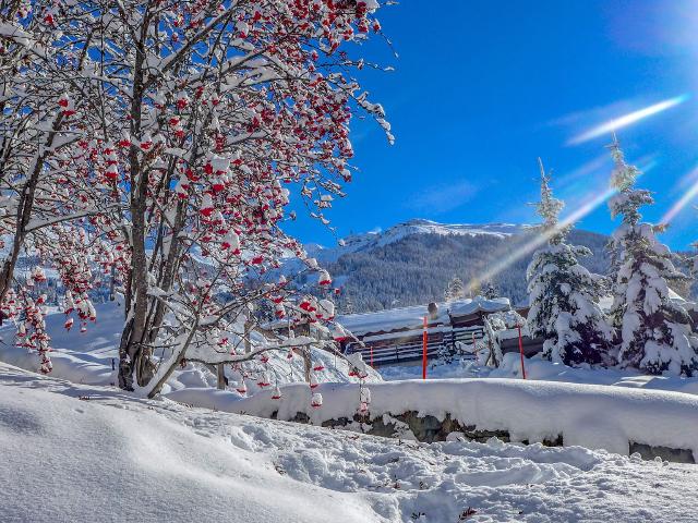 Appartement Le Loup Blanc - Bagnes - Verbier