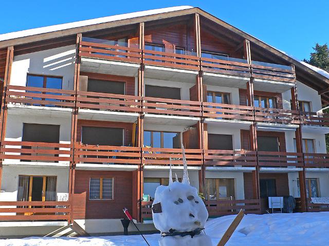 Appartement Lichen 1 - Bagnes - Verbier
