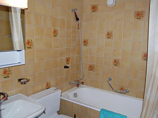 Appartement Eden Roc 63 - Nendaz