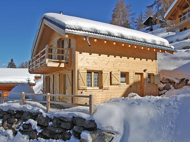 Chalet Le Bon Appart - Nendaz