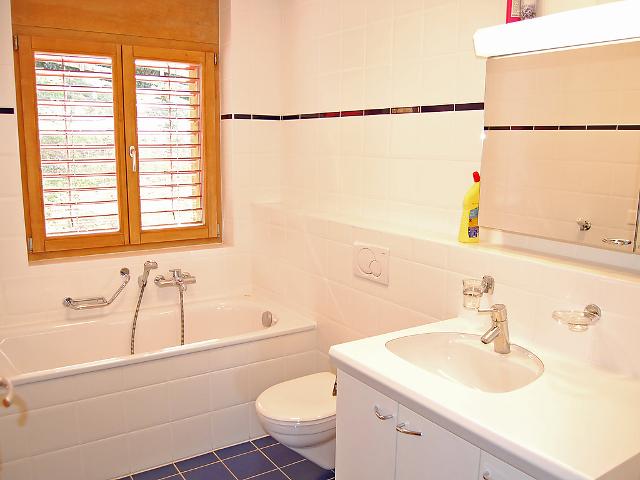 Appartement Grands Ducs 201B - Nendaz