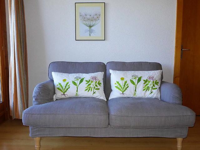 2 pièces 4 personnes Confort CH1961.320.3 - Nendaz