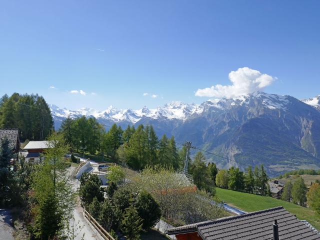 Chalet 4 pièces 6 personnes Confort CH1961.70.1 - Nendaz