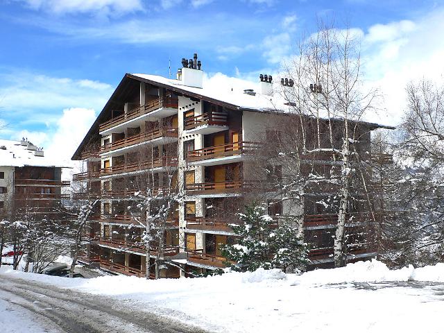 Appartement Derborence 4 - Nendaz