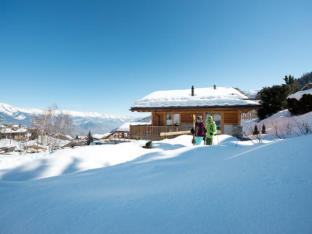 Chalet Rosa - Nendaz