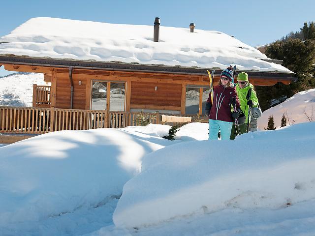 Chalet Rosa - Nendaz