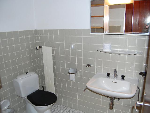 Appartement Perce-Neige 17 - Nendaz