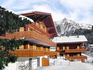 Appartement Chalet Eiger - Grindelwald 