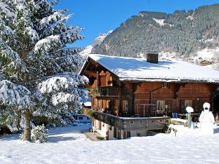Appartement Chalet Marie Rosa - Grindelwald 