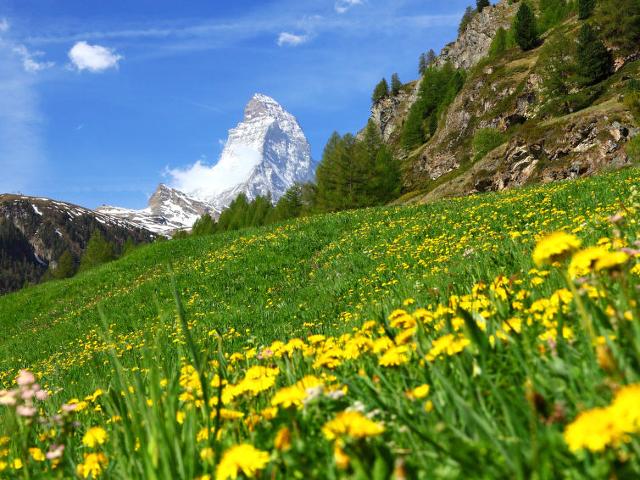 Appartement Sonnhalde B - Zermatt