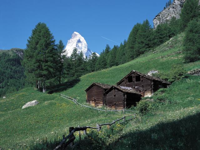 Appartement Sonnhalde B - Zermatt