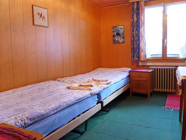 Appartement Diana - Zermatt