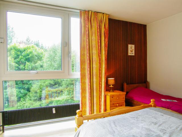 Appartement Arve 1 et 2 - Chamonix Sud