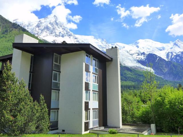 Appartement Arve 1 et 2 - Chamonix Sud