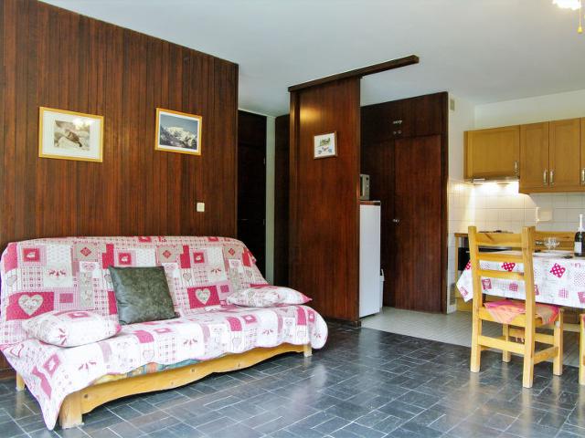 Appartement Arve 1 et 2 - Chamonix Sud