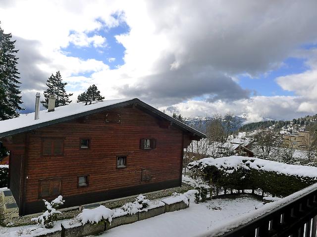 Chalet Les Pins E4 - Villars - sur - Ollons 